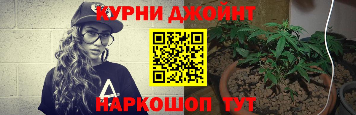 Артём  МАРИХУАНА сатива  Вход с VPN  Канабис AK-47  Шишки марихуана VHQ 